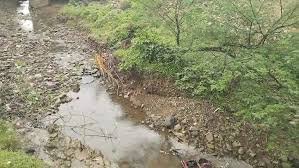 CG: तेज रफ्तार का कहर, बाइक नाले में गिरी, दो लोगों की मौत, ट्रक ने मवेशियों को रौंदा