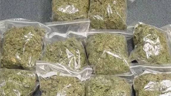 CG: सूखे नशे पर सबसे बड़ी कार्रवाई, 15 गांजा तस्करों के मकान ढहाए, 60 से ज्यादा को जेल भेजा