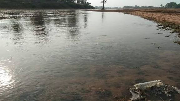 CG: कन्हर नदी में हादसा, मछली पकड़ने के दौरान युवक बहा, तलाश जारी