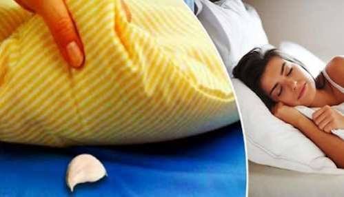 रात को तकिए के नीचे लहसुन की एक कली रखकर सोने से आपको मिल सकते हैं गजब के फायदे