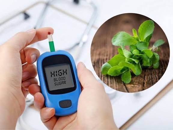 डायबिटीज पेशेंट के लिए औषधी है शुगर डिस्ट्रॉयर प्लांट, जानें कैसे सेवन करने से मिलेगा फायदा