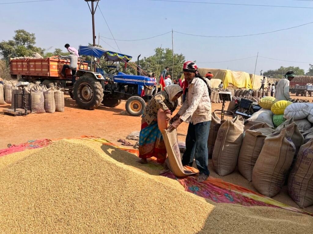CG: केंद्रों से धान उठाव बंद, प्रशासन का दावा हो रही खरीदी, बिचौलियों के खिलाफ भी एक्शन जारी
