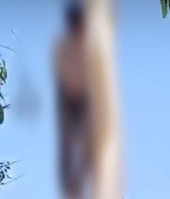 CG: प्यार का खौफनाक अंत तालाब किनारे लटका मिला प्रेमी जोड़े का शव