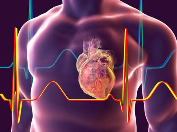 हार्ट अटैक से भी खतरनाक है हार्ट वाल्व डिजीज, दिखने लगे ये छोटे-छोटे लक्षण, तो भूलकर भी नजरअंदाज न करें