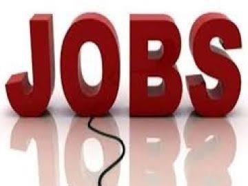 CG: नौकरी का मौका, इन जिलों में निकली बहाली, टीचर और आंगनबाड़ी कार्यकर्ता बनने के लिए करिए आवेदन