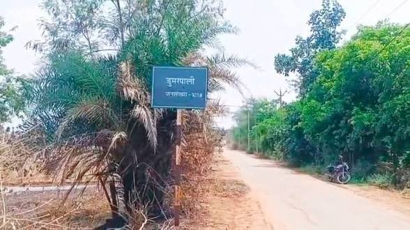 CG: आकाशीय बिजली का कहर: धमतरी में 39 भेड़ों और बकरियों की मौत