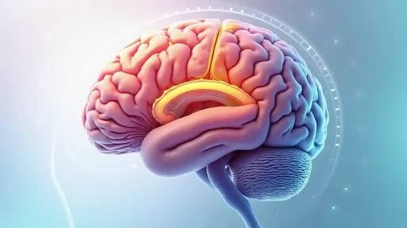 स्ट्रोक से एक हफ्ता पहले आपका शरीर आपको क्या संकेत देता है, जान लीजिए यहां
