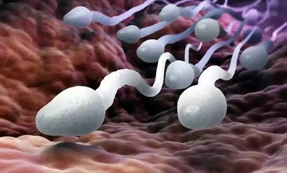 20 साल तक पत्नी से छिपाता रहा बड़ा राज, दर्जनों बच्चों का निकला गुमनाम पिता; स्पर्म डोनेशन के पीछे था चौंकाने वाला जुनून