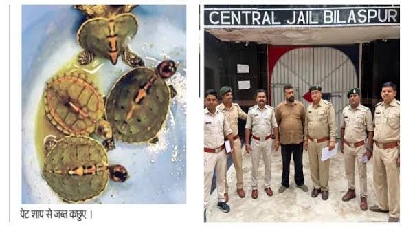 तोते-कछुओं की अवैध बिक्री पर वन विभाग सख्त, वन विभाग की कार्रवाई पर उठे सवाल