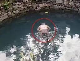 CG: कुएं में मिली नाबालिग छात्रा की लाश जन्माष्टमी विसर्जन कार्यक्रम के बाद से थी लापता, जांच में जुटी पुलिस