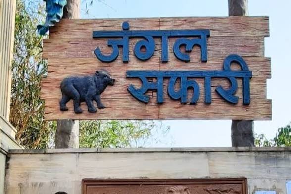 CG: नंदनवन जंगल सफारी की शान हिमालयन भालू फफोरी की मौत, नम आंखों से दी गई अंतिम विदाई