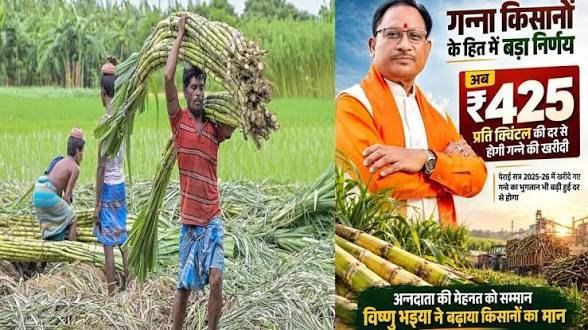 CG: गन्ना किसानों की बल्ले-बल्ले! साय सरकार ने बढ़ाया खरीदी मूल्य